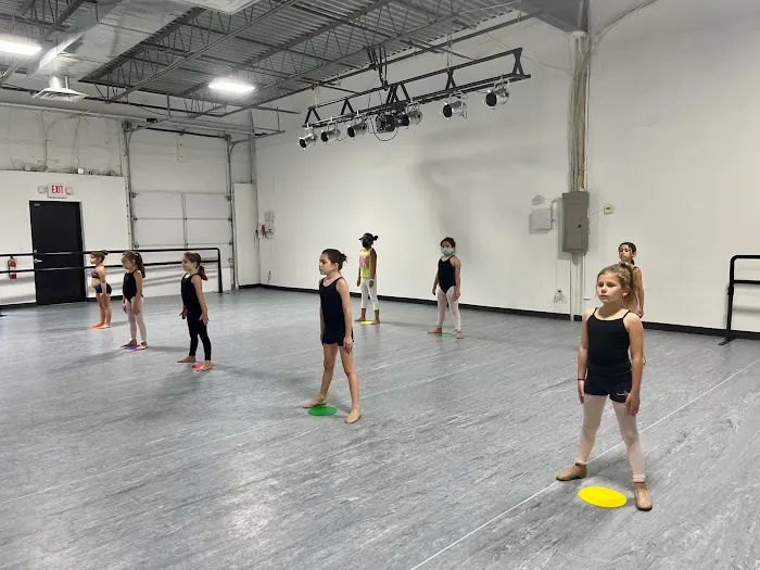 Northeast Dance Project Picture 3