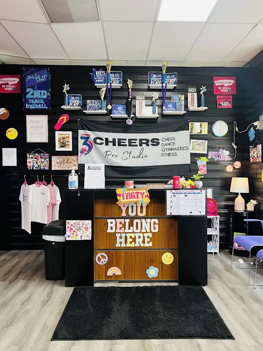 3Cheers Pro Studio Picture 4