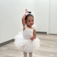 DDA Dance Academy ico