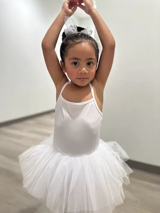 DDA Dance Academy Picture 3