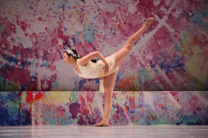 Dance Dimensions Picture 2