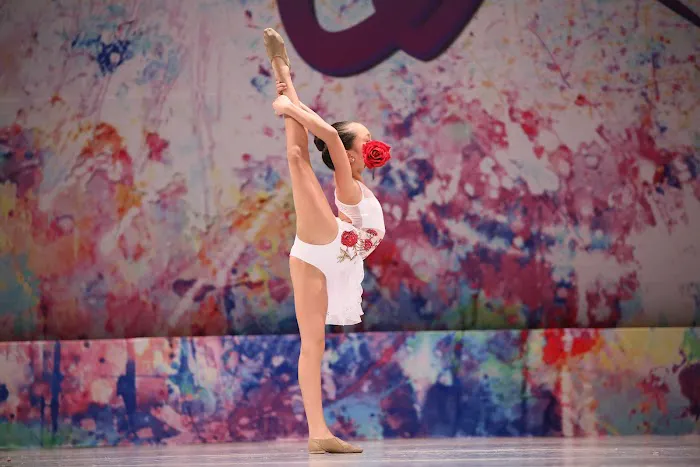 Dance Dimensions Picture 9