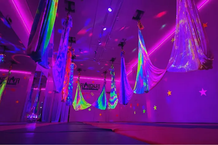 Fly High Dance and Fitness (FLY HIGH FIT) Picture 6