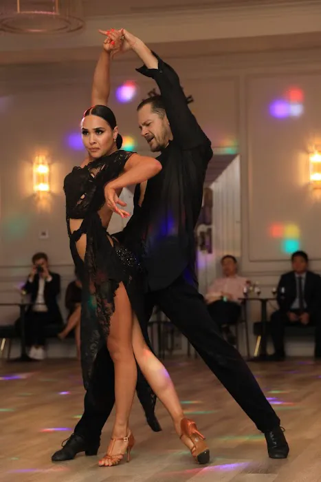Starry Ballroom Picture 4