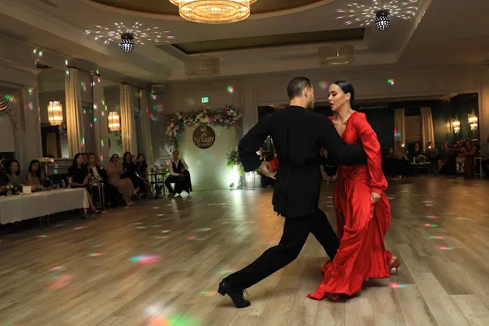 Starry Ballroom Picture 6