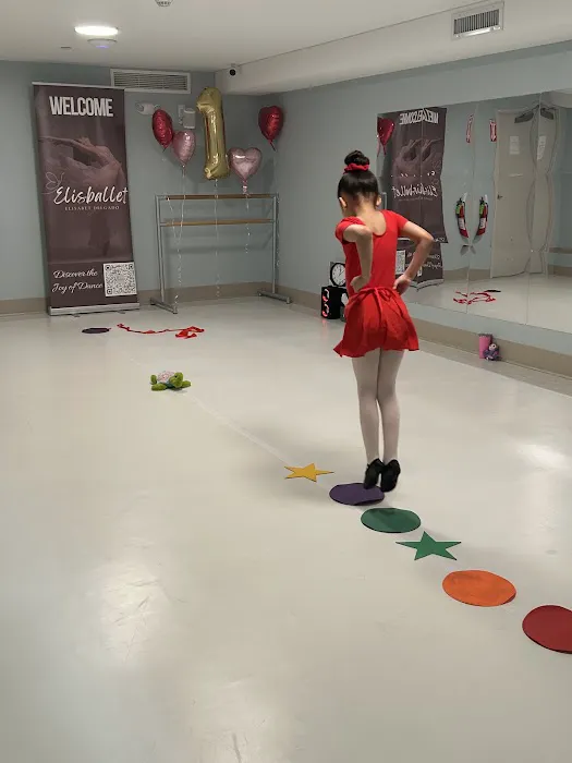 Elisballet LLC Picture 4