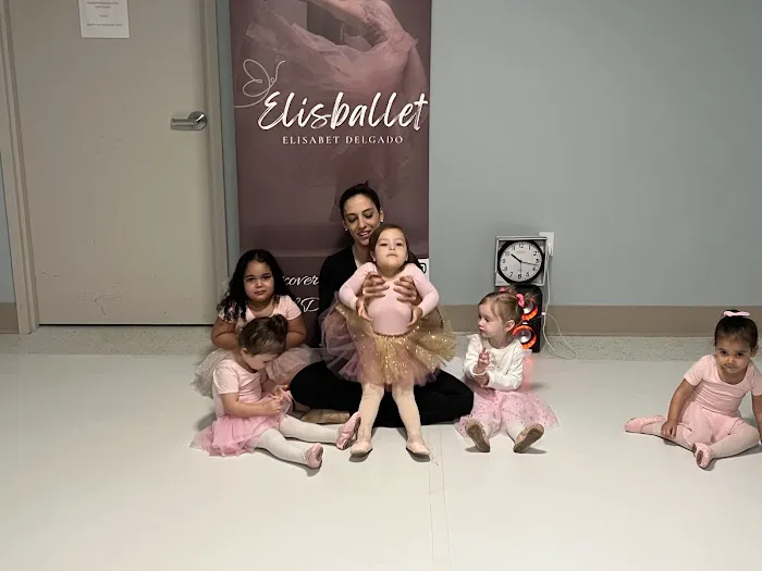 Elisballet LLC Picture 6
