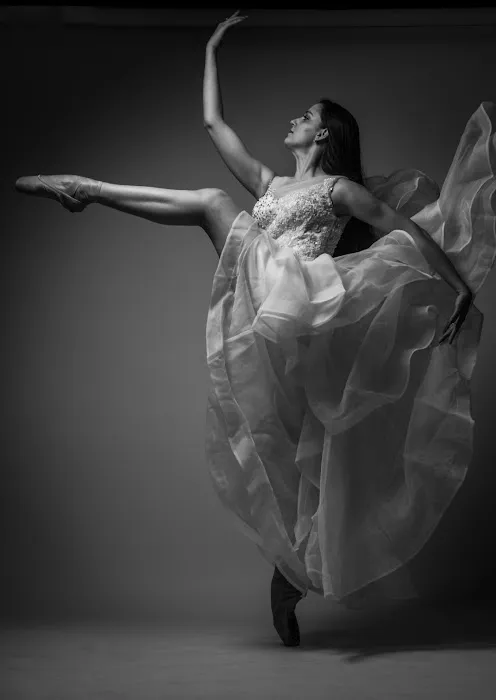 Elisballet LLC Picture 1