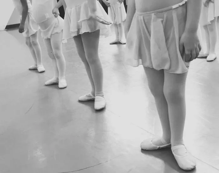 Elisballet LLC Picture 10