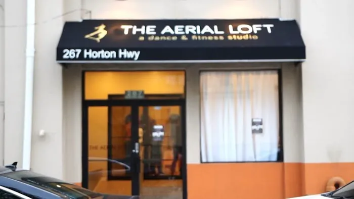 The Aerial Loft Picture 2