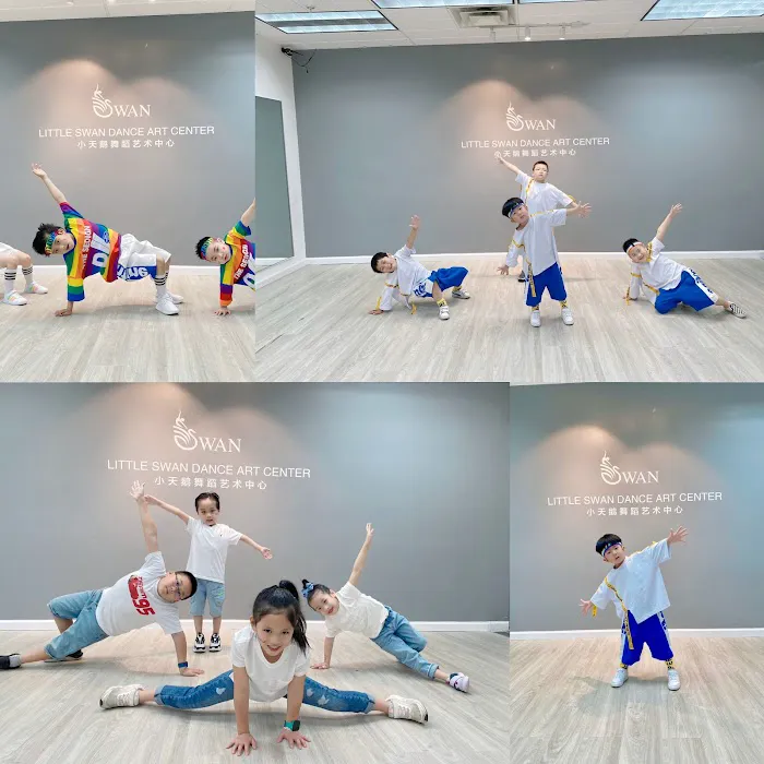 Little Swan Dance Art Center Picture 4