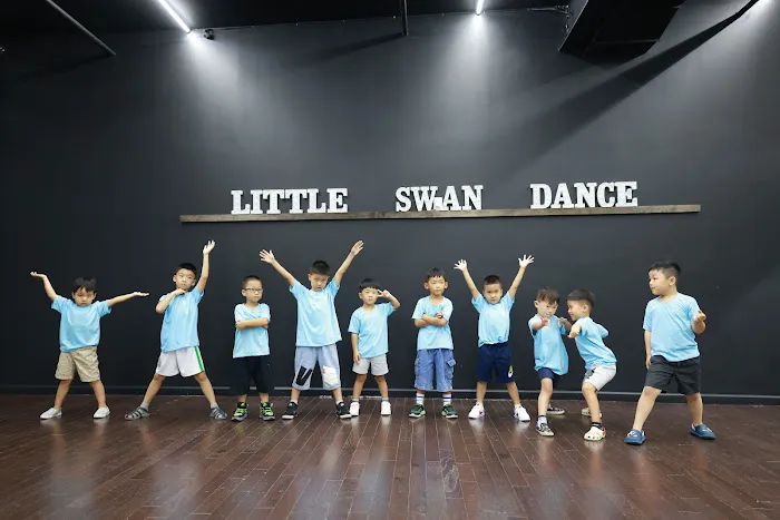 Little Swan Dance Art Center Picture 3