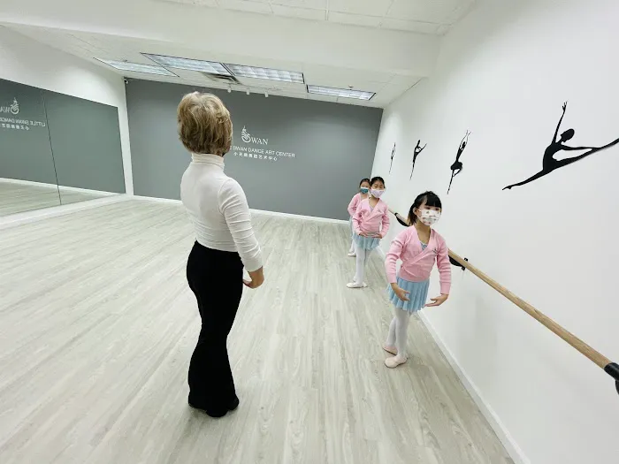 Little Swan Dance Art Center Picture 1