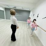 Little Swan Dance Art Center