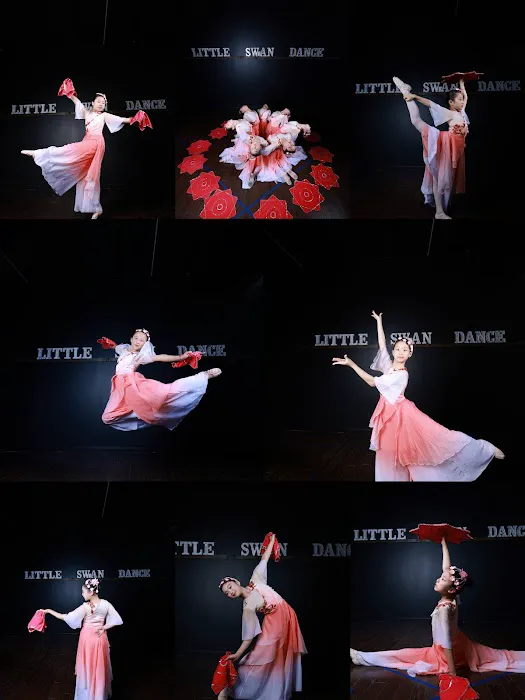 Little Swan Dance Art Center Picture 2