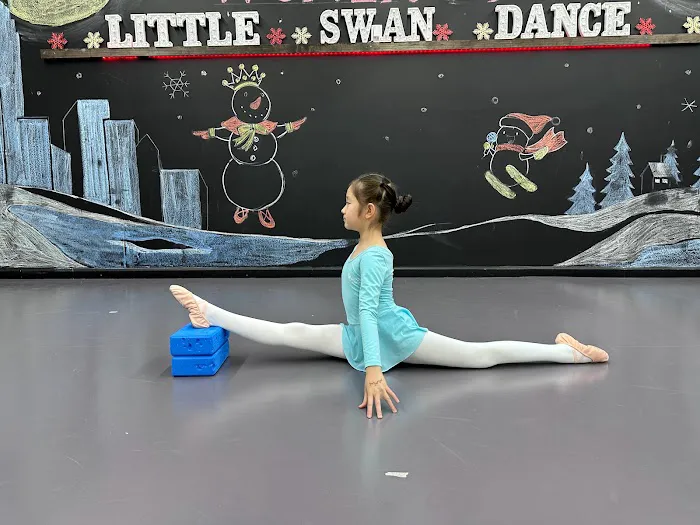 Little Swan Dance Art Center Picture 6