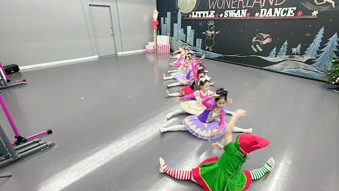 Little Swan Dance Art Center Picture 5