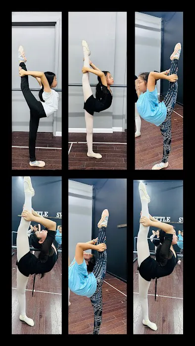 Little Swan Dance Art Center Picture 7