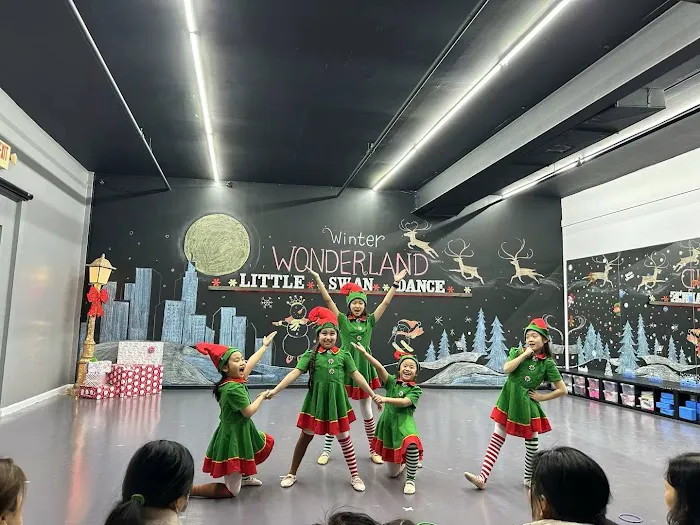 Little Swan Dance Art Center Picture 9