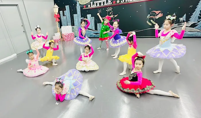 Little Swan Dance Art Center Picture 10