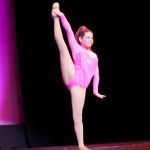 Le Danse Inc