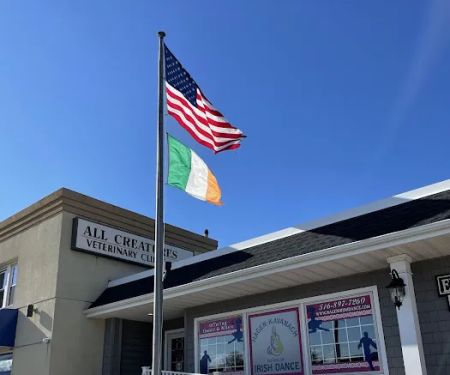 Hagen-Kavanagh School of Irish Dance