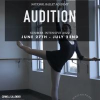 National Ballet Academy New York, LLC. ico