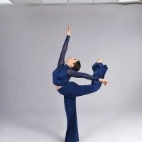 Fancy Feet Dance Studio ico