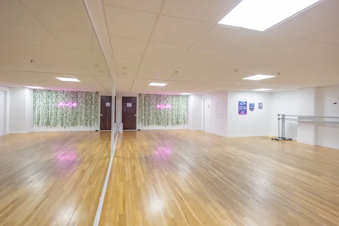 The Dance Gallery Picture 5