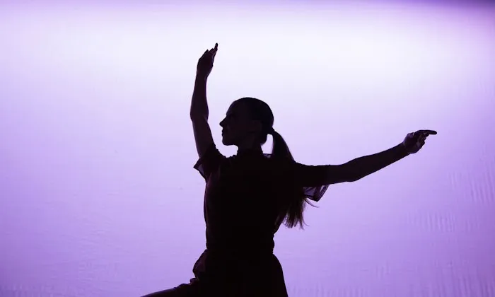 The Dance Gallery Picture 1