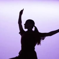 The Dance Gallery ico