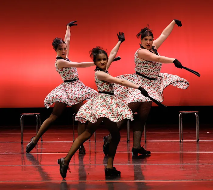 Bodies In Motion Dance Centre Picture 2
