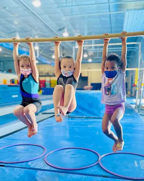 Head Over Heels Gymnastics, Dance & Ninja Center Picture 5
