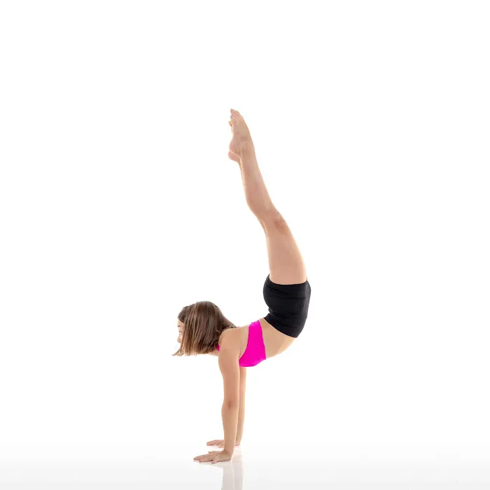 The Movement Dance Centre Picture 4