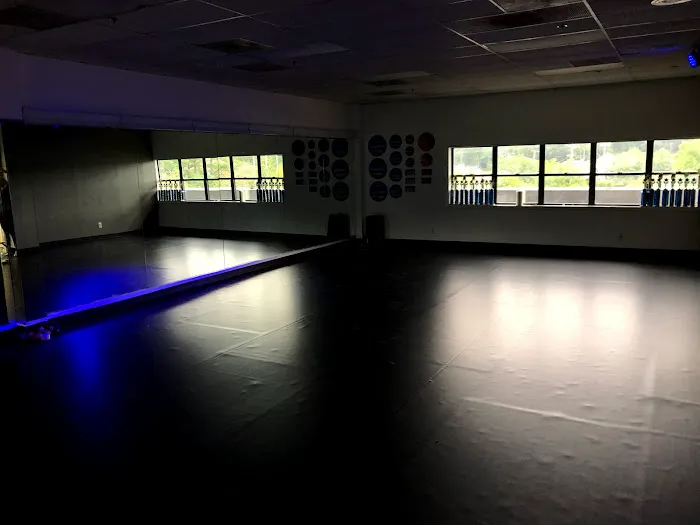 The Movement Dance Centre Picture 6