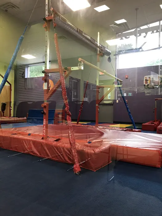 The Little Gym of Scotch Plains Picture 6
