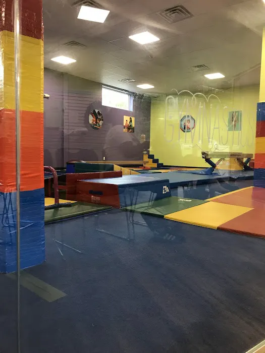 The Little Gym of Scotch Plains Picture 3