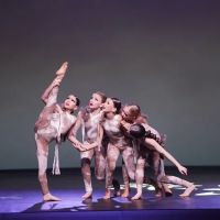 Allied Performing Arts Center ico