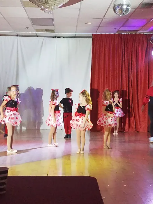 Allied Performing Arts Center Picture 4