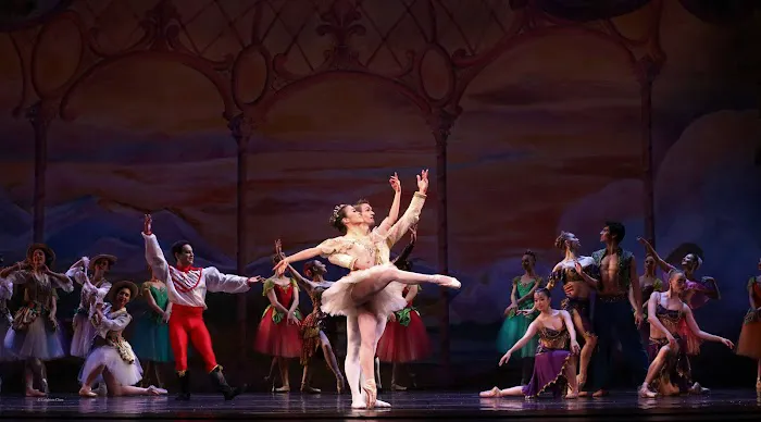 Princeton Ballet School | American Repertory Ballet Picture 1