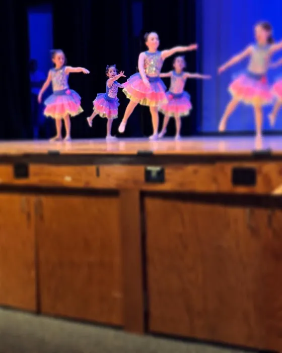 Art In Motion Academy of Dance Picture 6