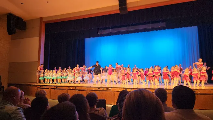 Art In Motion Academy of Dance Picture 4