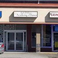 Linda D'Amico's Academy-Dance ico