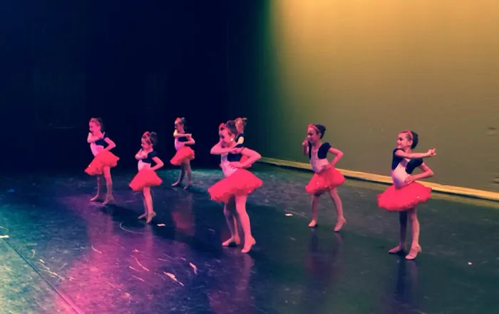 Dance Theatre of New Jersey Picture 7