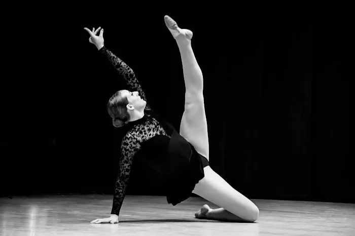 The Dance Connection Picture 2