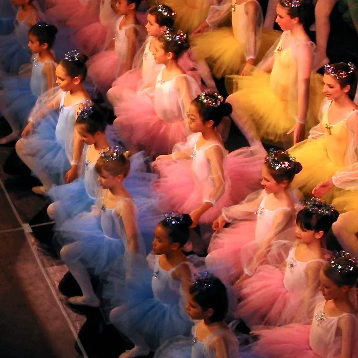 Classic Ballet School Picture 2