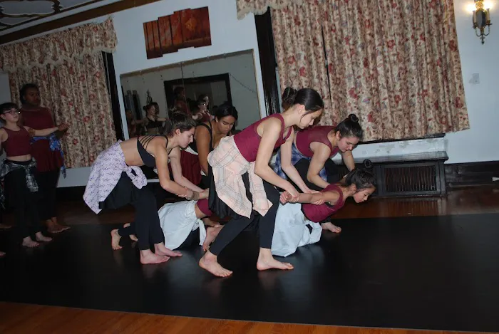 Coleman School of Dance Picture 2