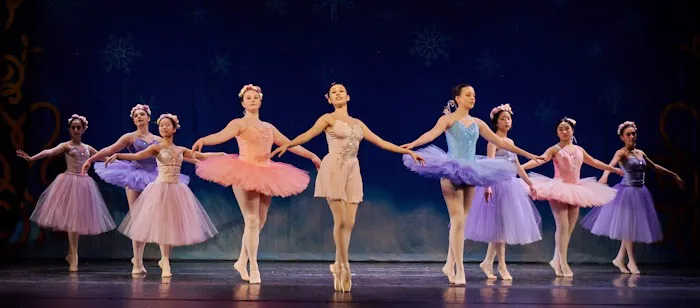 Fadeyev Ballet Picture 3