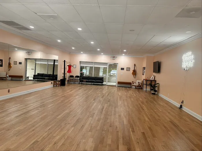 The Dance Spot Picture 2