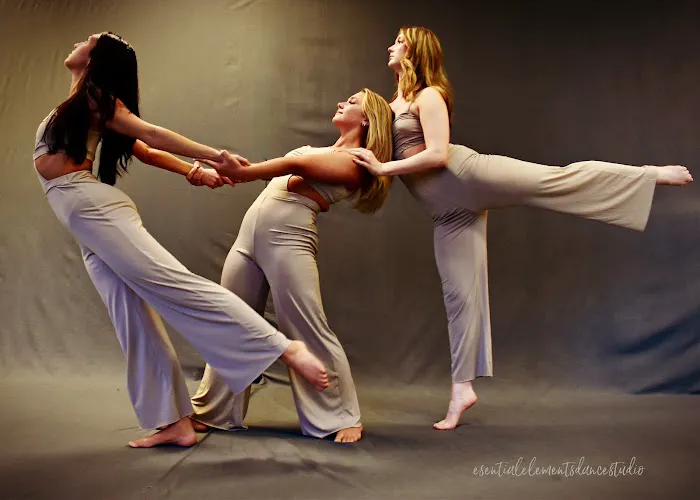 Essential Elements Dance Studio Picture 6